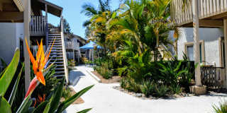 La Jolla Canyon Gallery 15