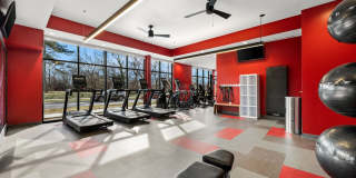 Aura at Innovation Square Aura at Innovation Square Gallery 20