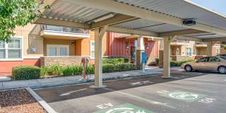 The Artisan Gallery 32