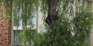 1138 11TH St Gallery 1