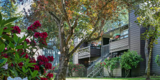 Hunt Club Gallery 26