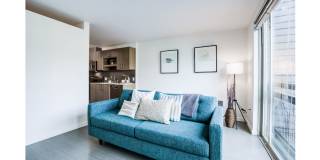 Smith & Burns Gallery 26