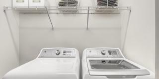 Camden Carolinian Gallery 15