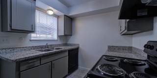 Ashford Buena Vista Gallery 24