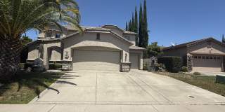 1840 Diamond Woods Circle Gallery 2