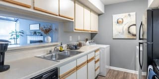 Greenhouse Gallery 16