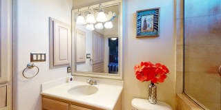 2011 My Anns Hill Gallery 42