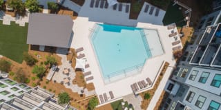 Spectator Atlanta Gallery 1