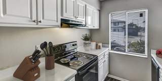Shoreline Pointe Apartments Gallery 4