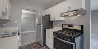 Cinnamon Run at Peppertree Farm Gallery 4