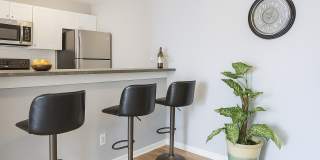 Creekside Canopy Gallery 5