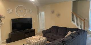 2543 WILLOW CREEK Drive Gallery 8