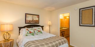 Arbor Hill Gallery 12