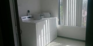 Newport Plaza Gallery 15