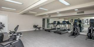 Augustine at Glendale Gallery 10