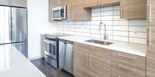 Viceroy Observatory Park Gallery 3