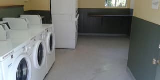 Velvet Green Apartments Gallery 6