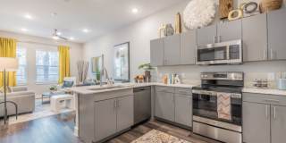 Aspire at Tampico Gallery 5