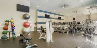 The Livingston Gallery 12