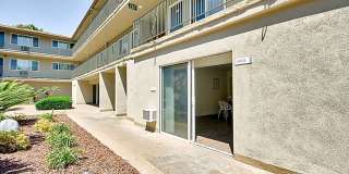 Somerset plaza Gallery 8