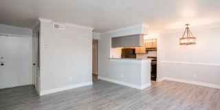 Ridge Point Gallery 40