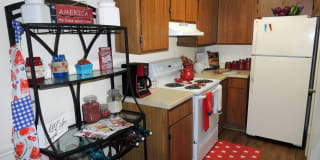 Alexis Park Gallery 6