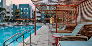 The Oasis Gallery 12