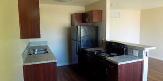 Mojave Breeze Gallery 16