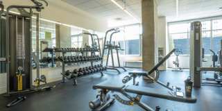 Ovation 309 Gallery 25