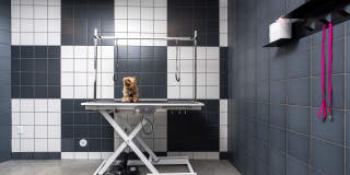 Bell Alderwood Gallery 21