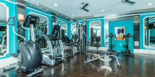 La Belle at Hollywood Tower Gallery 14