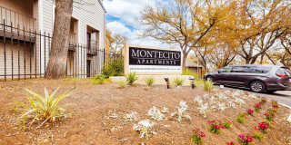 Montecito Montecito Gallery 35