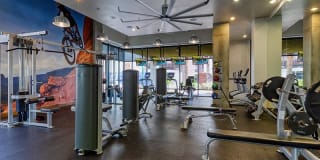 Agave 350 Gallery 31