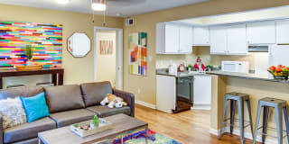 Student Housing- The Social Block and Townhomes Gallery 1