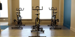 404 Border Gallery 8