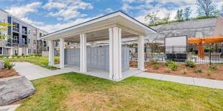 The Percy Gallery 43