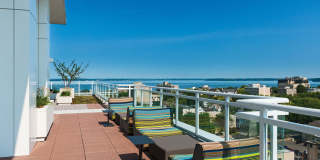 Ovation 309 Gallery 43