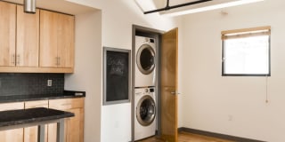 Plant 1 Plant 1 Gallery 13