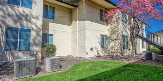 PepperTree Village Gallery 25