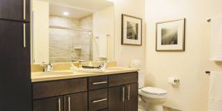 Ovation 309 Gallery 22