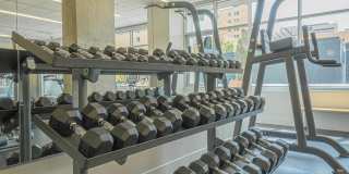 Ovation 309 Gallery 29