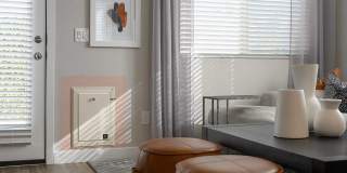 Village at Schnepf Farms Gallery 15