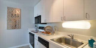 3450 North Lake Shore Drive Gallery 5