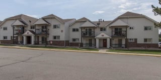 The Harrison Gallery 35