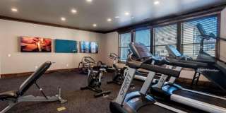 Central Park Gallery 17