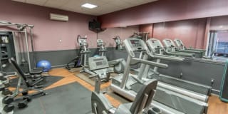 The Metropolitan Gallery 3