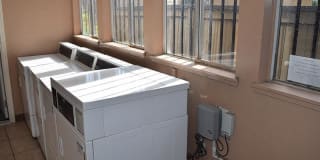 Amber Grove Gallery 3