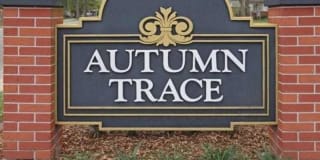 Autumn Trace Gallery 5
