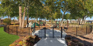 Albion on Lake Cook Gallery 10