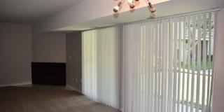 The Lake Shore Apartments Gallery 66